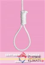 Sentimentální román