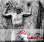 Amnézie - průvodní jev a problém současn...