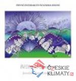 Běžím si životem