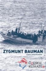 Cizinci před branami