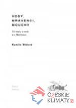 Vosy, mravenci, mouchy