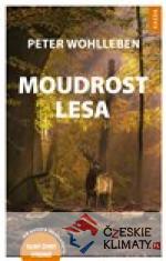 Moudrost lesa