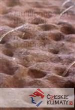 Multilogues on the Now: O žlázách, me...