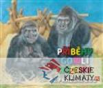 Příběhy gorilí rodiny z pražské ZOO...