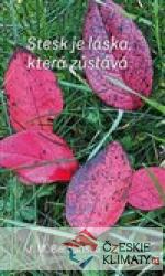 Stesk je láska, která zůstává