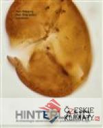 Hinterland. Archeologie severočeských ...