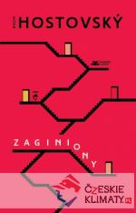 Zaginiony