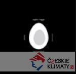vejce / eggs