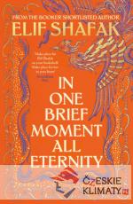 In One Brief Moment All Eternity - książka