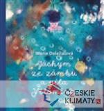 Jáchym ze zámku a víla Vilomína - książka