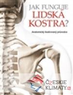 Jak funguje lidská kostra? - książka