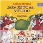 Jaké je to asi v Čudu - książka