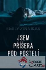 Jsem příšera pod postelí - książka