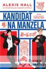 Kandidát na manžela - książka