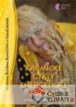Karmické cykly, energetické mřížky - książka