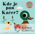 Kde je pan Kačer? Plstěná okénka a zrcátko! - książka