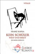 Kein Schüler weit und breit - książka