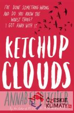 Ketchup Clouds - książka