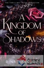 Kingdom of Shadows - książka