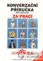 Konverzační příručka pro cestující za prací - česko-anglická - książka