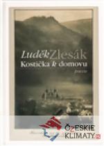 Kostička k domovu - książka