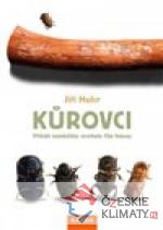 Kůrovci - książka