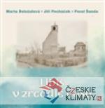 Libiš v zrcadle času - książka