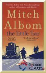Little Liar - książka