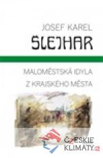 Maloměstská idyla / Z krajského města - książka