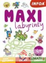 Maxi labyrinty - książka