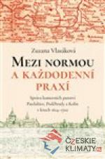 Mezi normou a každodenní praxí - książka