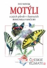 Motýli a jejich půvab - książka