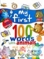 My first 100 words - My world - książka