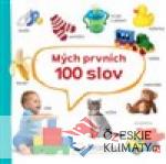 Mých prvních 100 slov - książka