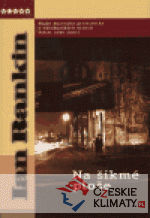 Na šikmé ploše - książka