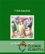 O třech kameníčcích - książka
