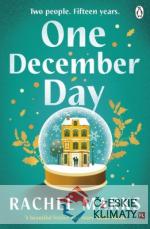 One December Day - książka