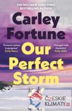 Our Perfect Storm - książka
