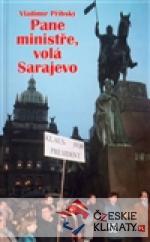 Pane ministře, volá Sarajevo - książka