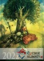 Pavel Čech kalendář 2022 - audiobook - książka