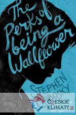 Perks of Being Wallflower - książka