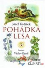 Pohádka lesa - książka