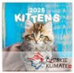 Poznámkový kalendář Koťata 2025 - audiobook - książka