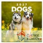 Poznámkový kalendář Psi 2027 - książka