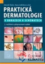 Praktická dermatologie v obrazech a schématech - książka