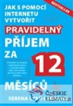 Pravidelný příjem za 12 měsíců - książka