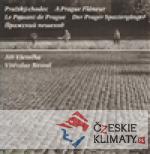 Pražský chodec - książka