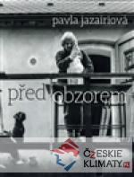 Před obrazem - książka