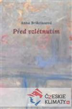 Před vzlétnutím - książka