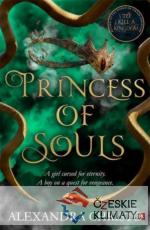 Princess of Souls - książka